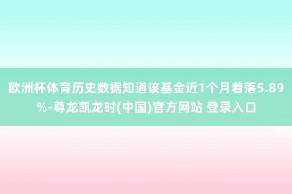 欧洲杯体育历史数据知道该基金近1个月着落5.89%-尊龙凯龙时(中国)官方网站 登录入口